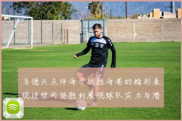 马德兴点评海牛战胜海港的精彩表现连续两场胜利展现球队实力与潜力