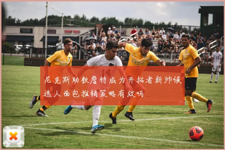 尼克斯助教詹特成为开拓者新帅候选人面包推销策略有效吗