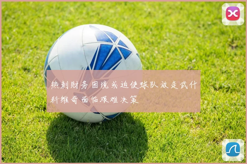 热刺财务困境或迫使球队放走武什科维奇面临艰难决策