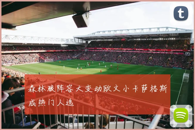 森林狼阵容大变动欧文小卡萨格斯成热门人选